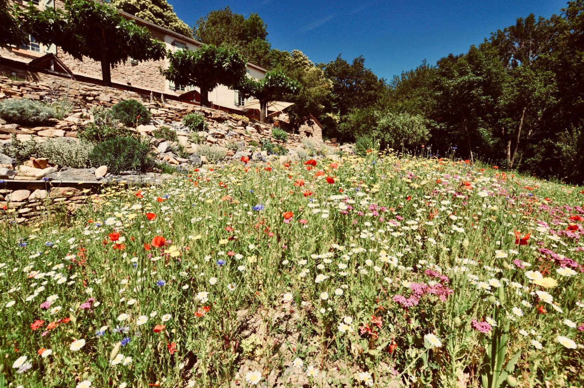 Les Coumayres Riols Dış mekan fotoğraf
